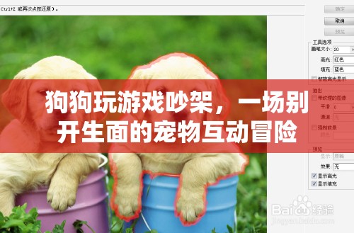狗狗吵架背后的寵物互動冒險，一場別開生面的游戲盛宴