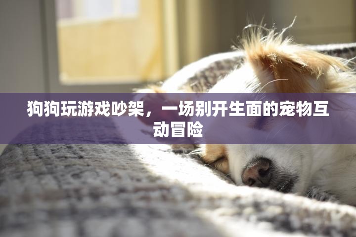 狗狗吵架背后的寵物互動冒險，一場別開生面的游戲盛宴