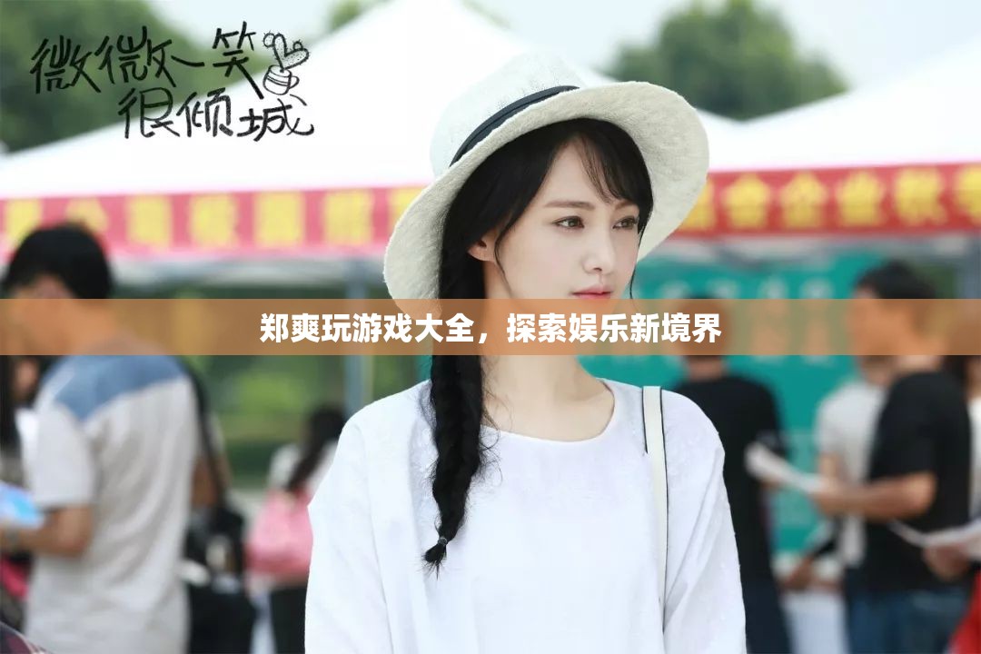 鄭爽游戲大全，探索娛樂新境界