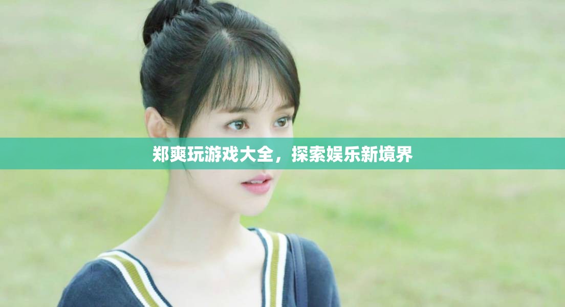 鄭爽游戲大全，探索娛樂新境界