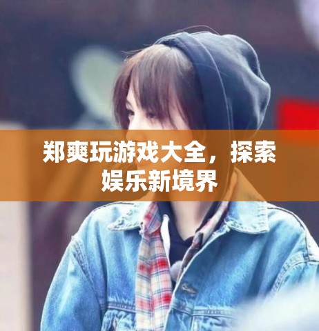 鄭爽游戲大全，探索娛樂新境界