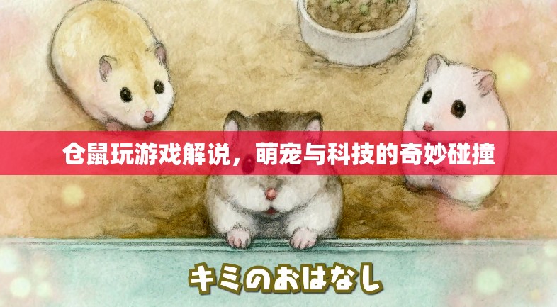 萌寵科技碰撞，倉(cāng)鼠玩游戲解說(shuō)