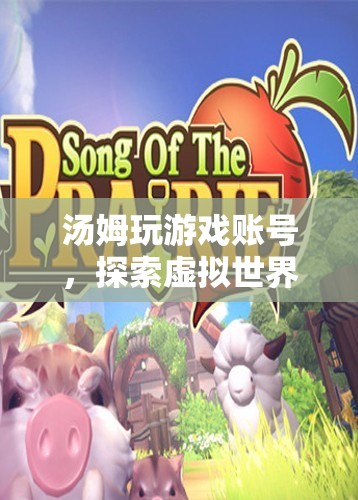 湯姆的虛擬世界之旅，探索游戲賬號(hào)的奇妙冒險(xiǎn)