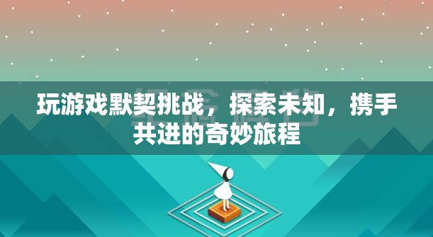 探索默契之旅，攜手共進(jìn)的奇妙游戲挑戰(zhàn)