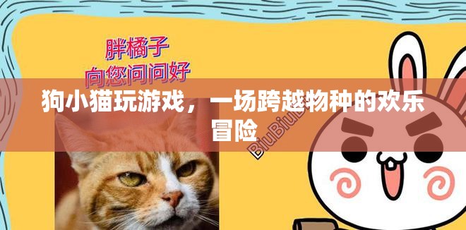 狗貓歡樂冒險(xiǎn)，跨越物種的友誼