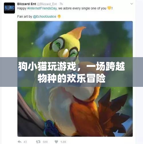 狗貓歡樂冒險(xiǎn)，跨越物種的友誼