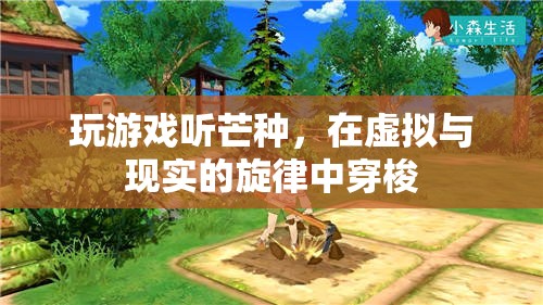 在虛擬與現(xiàn)實間穿梭，聽芒種玩游戲