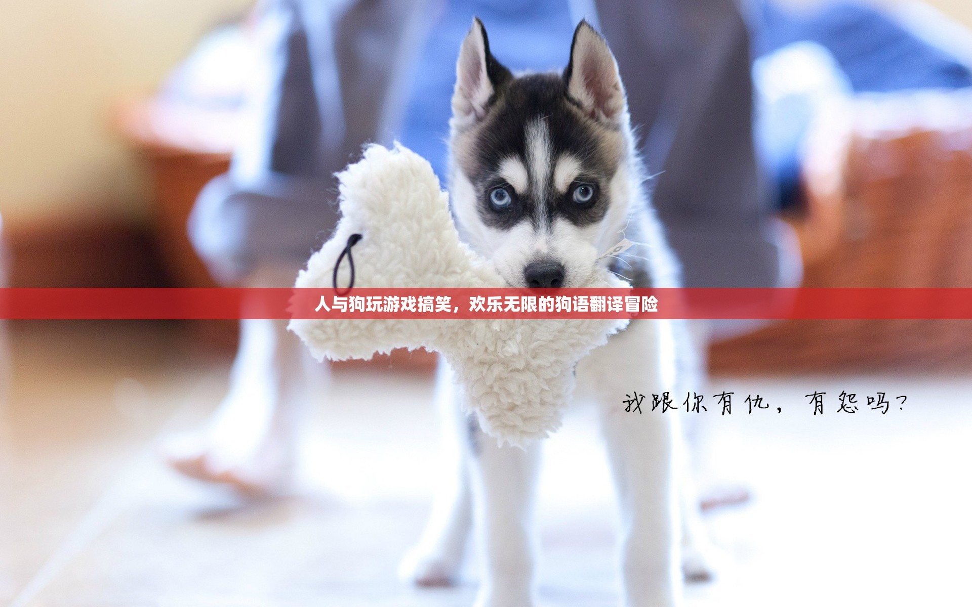 狗語翻譯大冒險(xiǎn)，人與狗的歡樂游戲時(shí)光