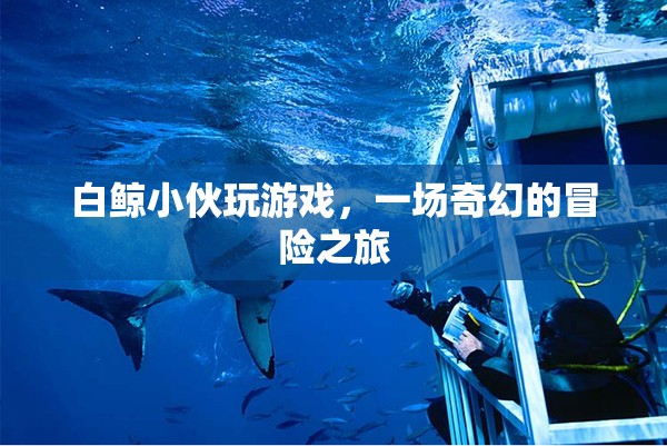 白鯨小伙的奇幻冒險之旅