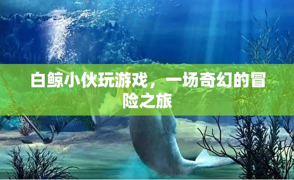 白鯨小伙的奇幻冒險之旅