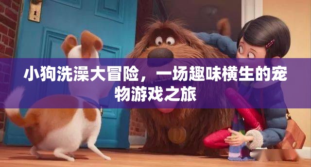 小狗洗澡大冒險(xiǎn)，寵物游戲之旅趣味橫生