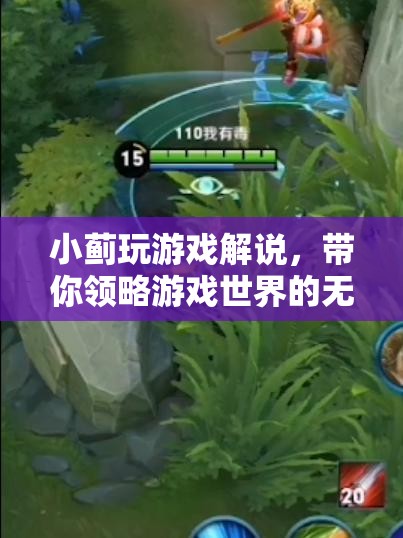 小薊游戲解說，帶你領(lǐng)略游戲世界的魅力