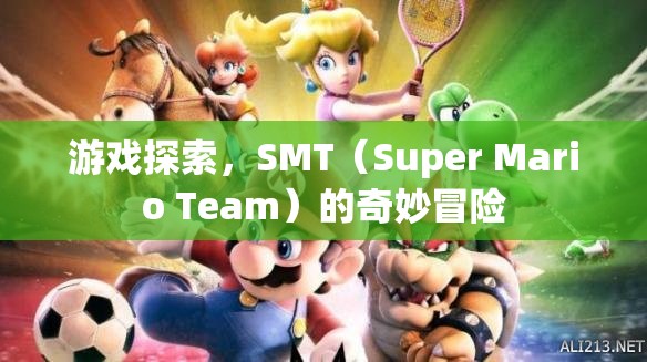SMT（Super Mario Team）奇妙冒險，游戲探索之旅