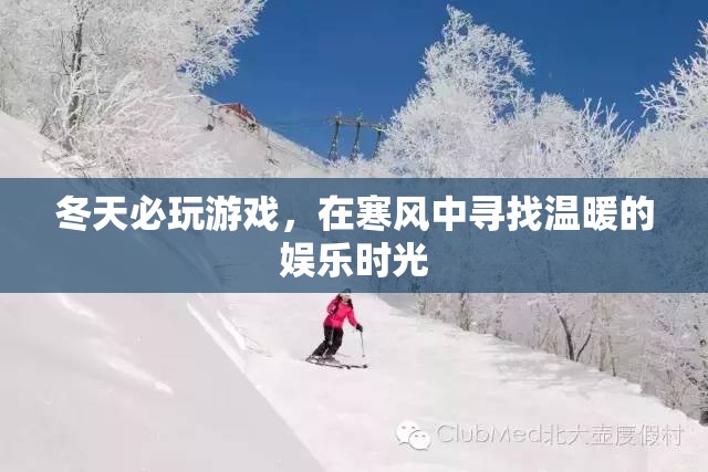 冬日暖心游戲，在寒風(fēng)中尋找娛樂時(shí)光