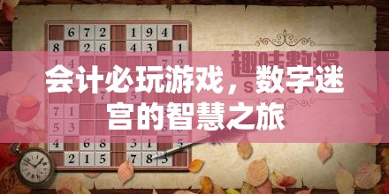 會(huì)計(jì)必玩游戲，數(shù)字迷宮的智慧之旅
