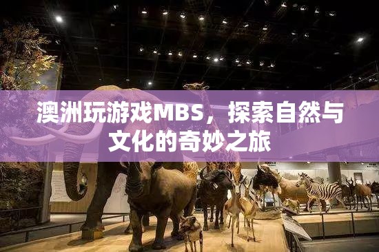 探索自然與文化的奇妙之旅，澳洲MBS游戲體驗(yàn)