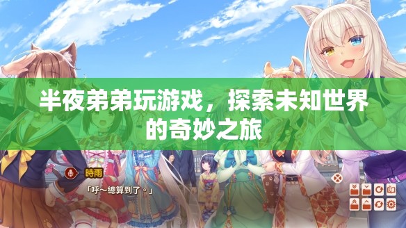 弟弟的深夜游戲探險，探索未知世界的奇妙之旅