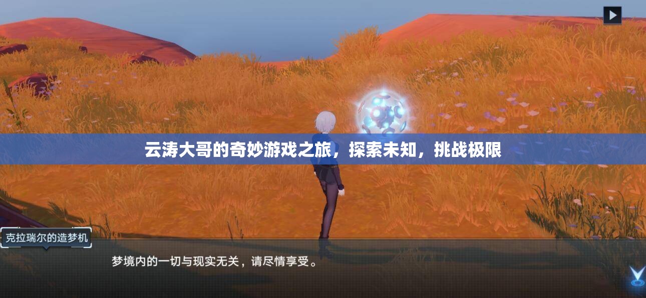 云濤大哥的奇妙探險(xiǎn)，挑戰(zhàn)極限，探索未知的游戲之旅