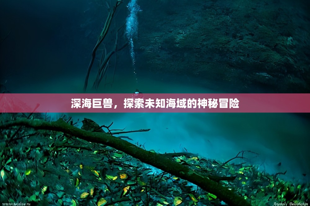 深海巨獸，探索未知海域的神秘冒險(xiǎn)