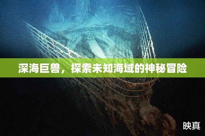 深海巨獸，探索未知海域的神秘冒險(xiǎn)