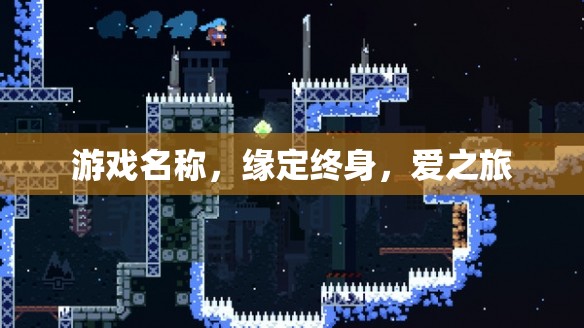 緣定終身，愛之旅游戲