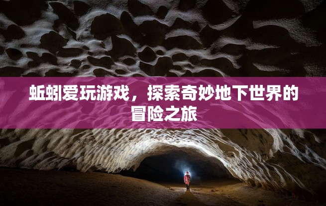 蚯蚓的奇妙冒險，探索地下世界的游戲之旅