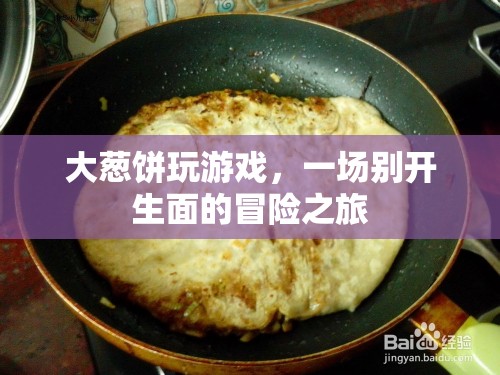 大蔥餅的冒險游戲之旅