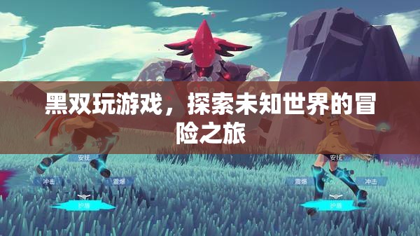 黑雙玩游戲，探索未知世界的冒險(xiǎn)之旅