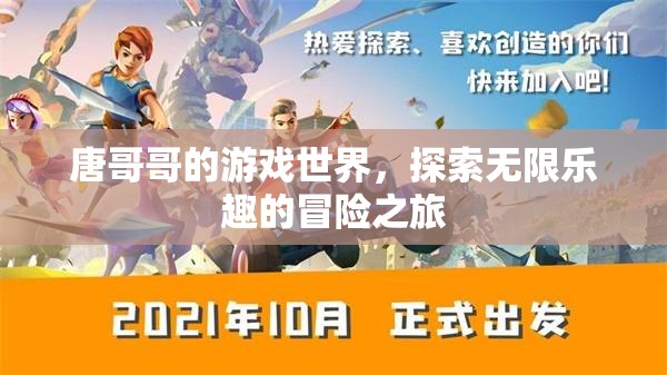 唐哥哥的游戲世界，探索無限樂趣的冒險之旅
