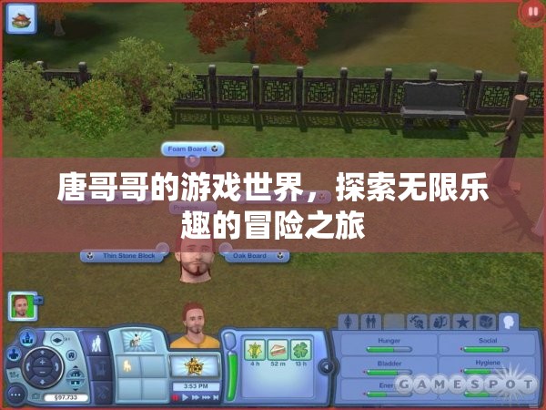 唐哥哥的游戲世界，探索無限樂趣的冒險之旅