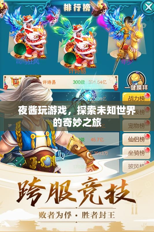 夜醬的奇妙游戲之旅，探索未知世界的冒險(xiǎn)