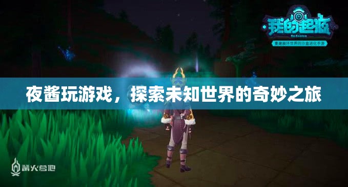 夜醬的奇妙游戲之旅，探索未知世界的冒險(xiǎn)