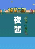 夜醬的奇妙游戲之旅，探索未知世界的冒險(xiǎn)