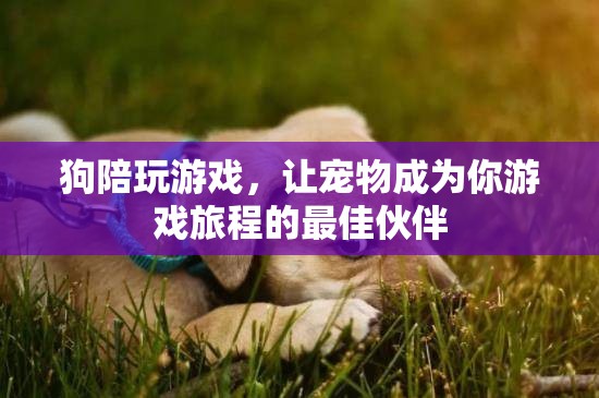 狗狗陪你玩游戲，寵物成為游戲旅程的最佳伙伴
