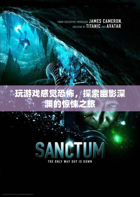 探索幽影深淵，一場(chǎng)令人毛骨悚然的驚悚之旅