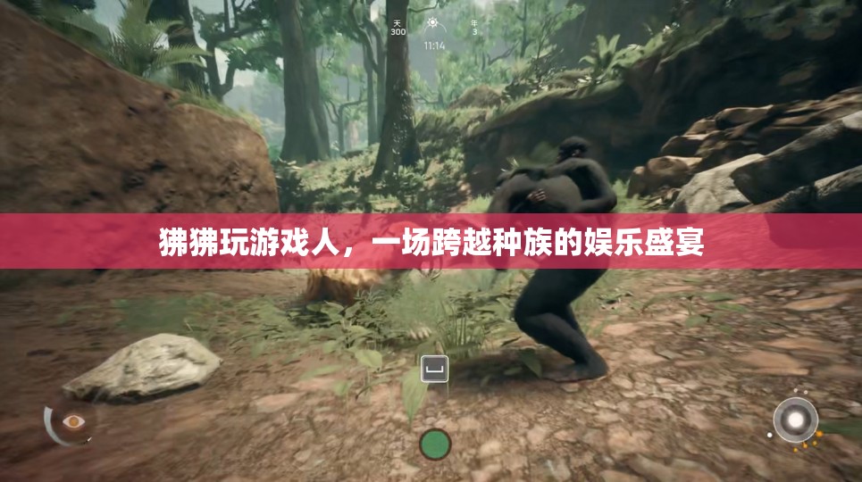 狒狒玩游戲人，跨越種族的娛樂盛宴