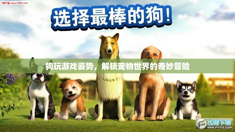 狗玩游戲姿勢，解鎖寵物世界的奇妙冒險