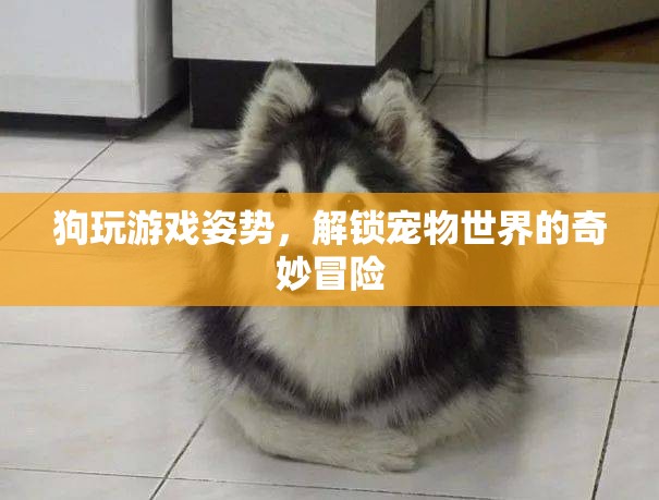 狗玩游戲姿勢，解鎖寵物世界的奇妙冒險
