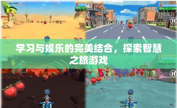 智慧之旅游戲，學(xué)習(xí)與娛樂的完美結(jié)合