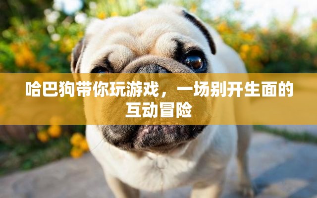 哈巴狗帶你開啟互動冒險之旅