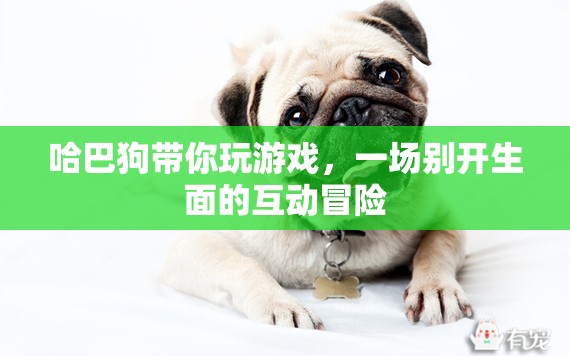 哈巴狗帶你開啟互動冒險之旅