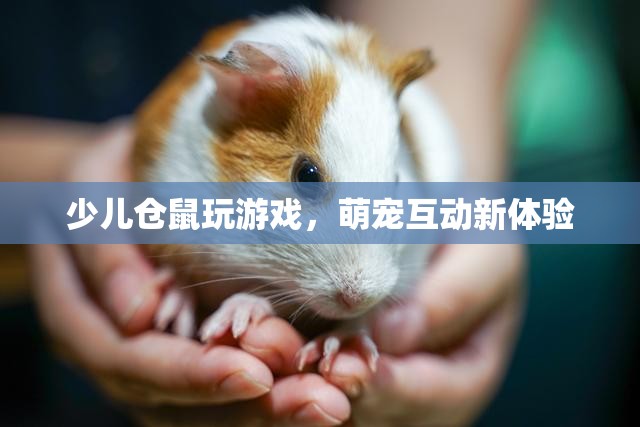萌寵互動新體驗，少兒與倉鼠玩游戲
