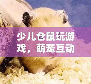 萌寵互動新體驗，少兒與倉鼠玩游戲