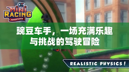 豌豆車手，一場駕駛冒險之旅