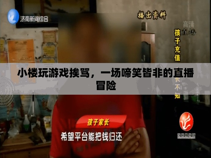 小樓直播游戲遭罵，啼笑皆非冒險記