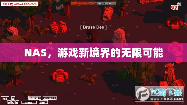 NAS，開啟游戲新境界的無限可能