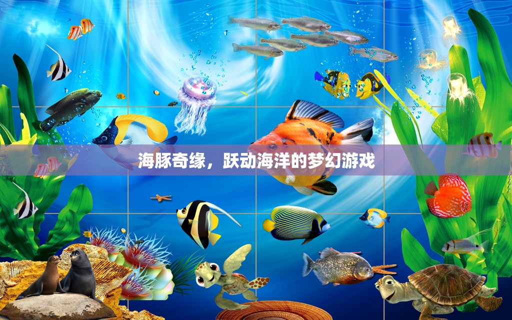 海豚奇緣，躍動(dòng)海洋的夢(mèng)幻冒險(xiǎn)