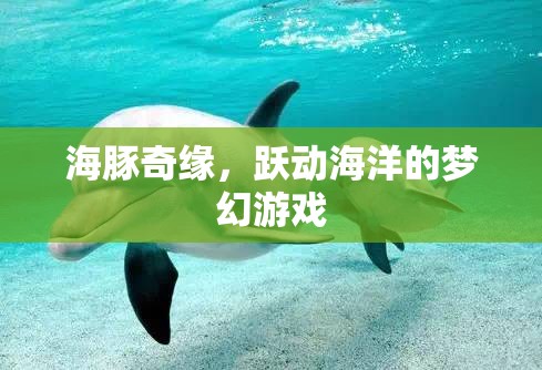 海豚奇緣，躍動(dòng)海洋的夢(mèng)幻冒險(xiǎn)