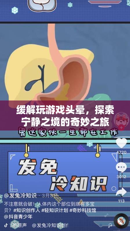 探索寧?kù)o之境的奇妙之旅，緩解玩游戲頭暈