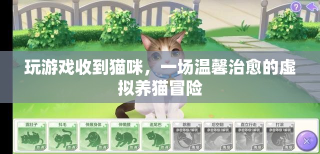 虛擬養(yǎng)貓冒險(xiǎn)，在游戲中收獲溫馨治愈的貓咪陪伴